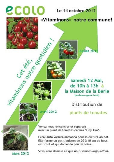 Tomates_20120512_2_.jpg